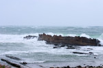 CRW_4386