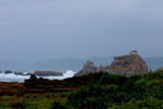 CRW_4389