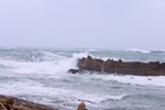 CRW_4393