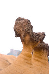 CRW_4412