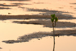 CRW_4858
