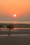 CRW_4876