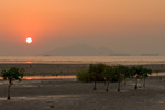 CRW_4879