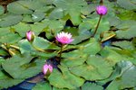 Untitled-111