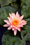 CRW_7014