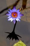 CRW_7016