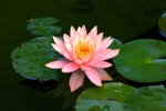 CRW_70241