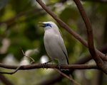 CRW_7038