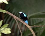 CRW_7042