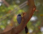 CRW_7052