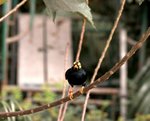 CRW_7058