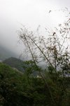 IMG_5220