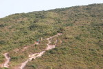 IMG_5197