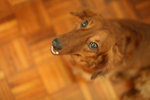 IMG_0039s