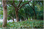 _MG_5386_2