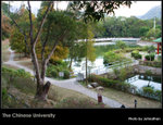 _MG_25861_2
