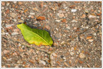 _MG_1058_2