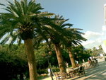 20070708100