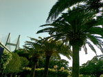 20070708107