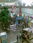 20070812292
