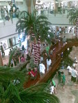 20070812299