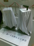 20070812302