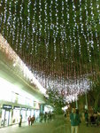 20071215498