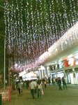 20071215502