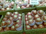 20080119512