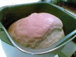 20080317568