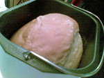 20080317569
