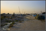 _MG_0250_2