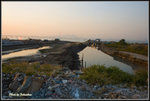 _MG_0260_2
