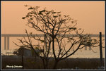 _MG_0267_2