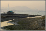 _MG_0276_2