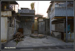 _MG_0290_2