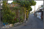 _MG_0291_2
