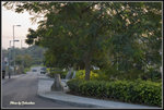 _MG_0293_2