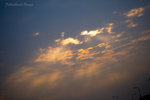 _MG_29911_2
