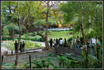 _MG_21038_2
