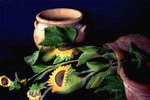 image007