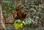CRW_40042_2