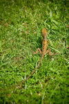 CRW_5313
