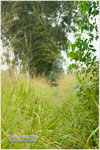 CRW_8192_2