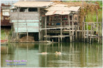 CRW_8201_2