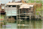 CRW_8202_2