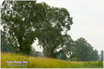 CRW_8204_2