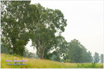 CRW_8205_2