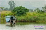 CRW_8206_2