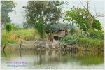 CRW_8207_2